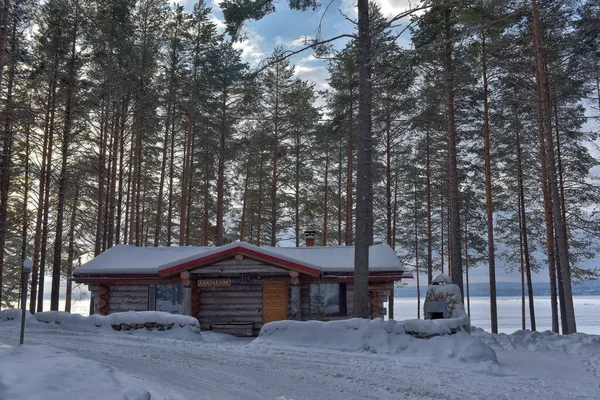 Wooden Cabin Log House Pine Forest Winter Landscape — ストック写真