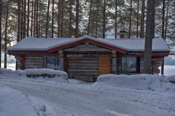 Wooden Cabin Log House Pine Forest Winter Landscape — Foto Stock