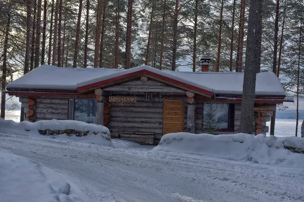 Wooden Cabin Log House Pine Forest Winter Landscape — Photo