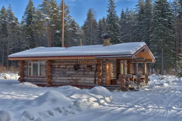 Wooden Cabin Log House Pine Forest Winter Landscape — Foto de Stock