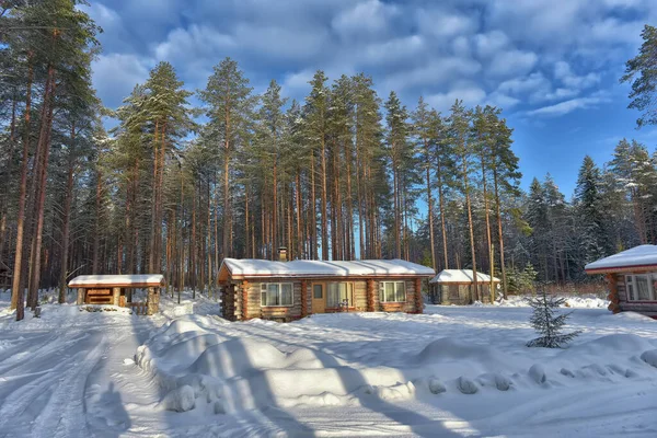 松林中的木屋 冬天的风景 — 图库照片