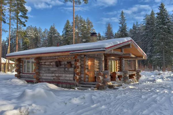 Wooden Cabin Log House Pine Forest Winter Landscape — Stock fotografie