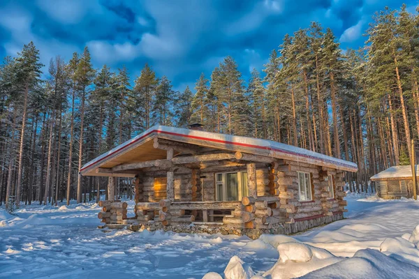 Wooden Cabin Log House Pine Forest Winter Landscape — Foto de Stock