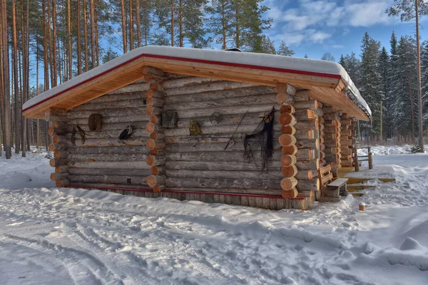 Wooden Cabin Log House Pine Forest Winter Landscape — ストック写真