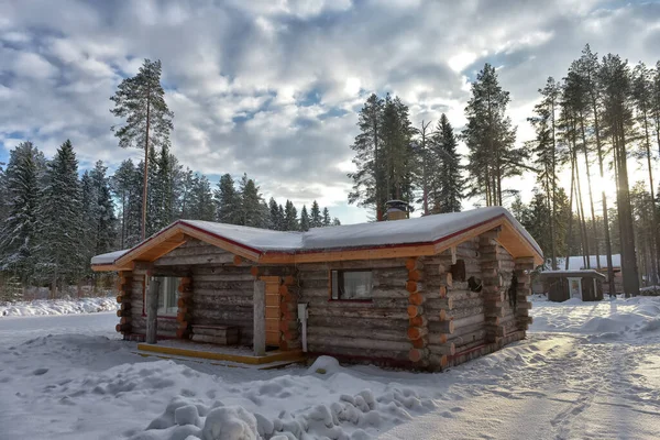 Wooden Cabin Log House Pine Forest Winter Landscape — Stok fotoğraf