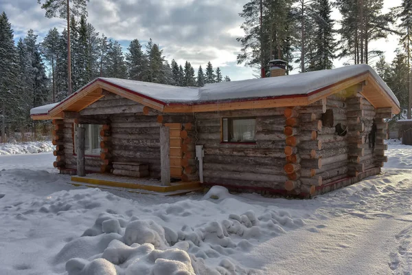 Wooden Cabin Log House Pine Forest Winter Landscape — Photo