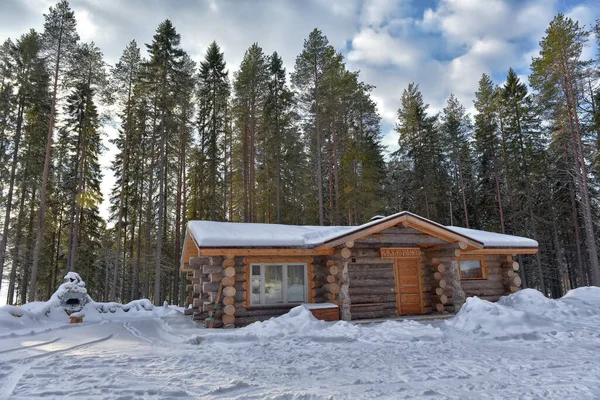 Wooden Cabin Log House Pine Forest Winter Landscape — Stockfoto