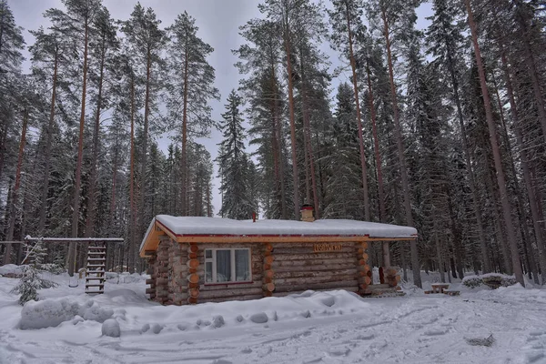 Wooden Cabin Log House Pine Forest Winter Landscape — Photo