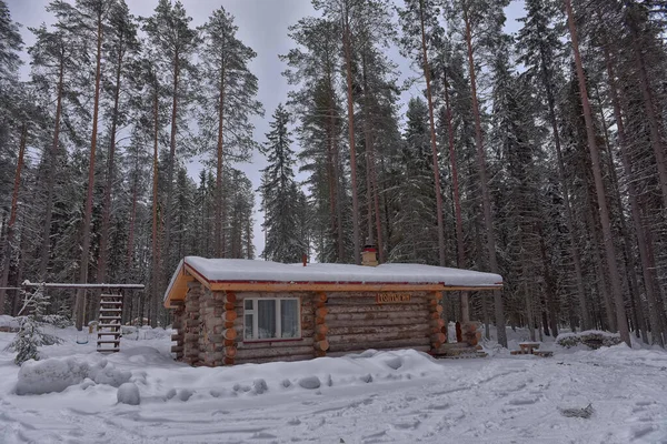 Wooden Cabin Log House Pine Forest Winter Landscape — Zdjęcie stockowe