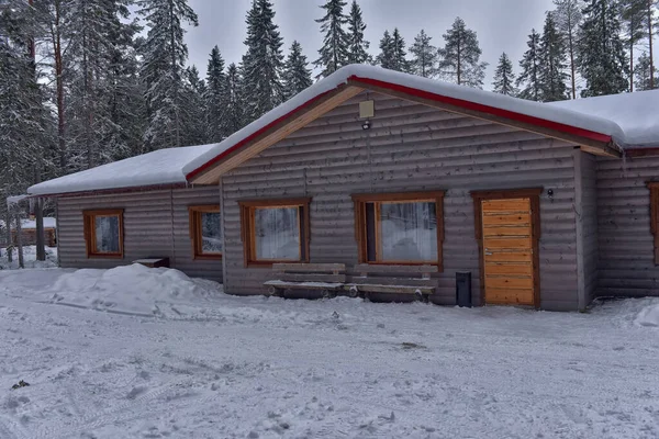 Wooden Cabin Log House Pine Forest Winter Landscape — Photo