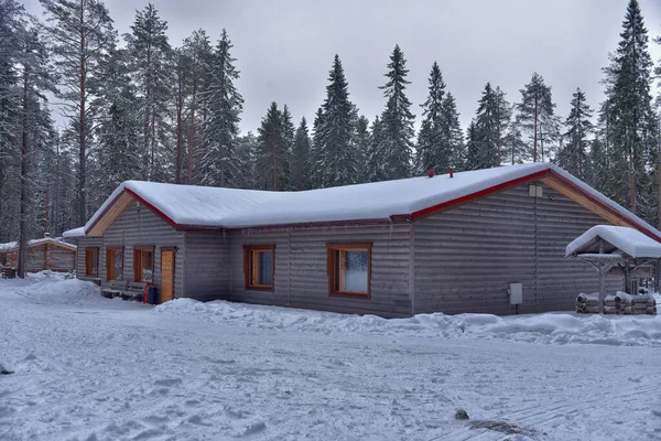 Wooden Cabin Log House Pine Forest Winter Landscape — Photo