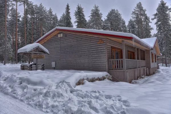 Wooden Cabin Log House Pine Forest Winter Landscape — Photo