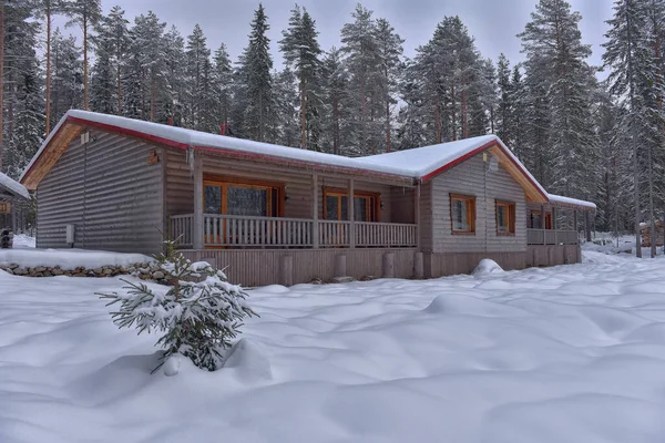 Wooden Cabin Log House Pine Forest Winter Landscape — Foto de Stock