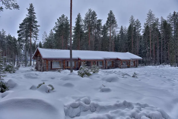 Cabana Madeira Uma Casa Madeira Uma Floresta Pinheiros Paisagem Inverno — Fotografia de Stock