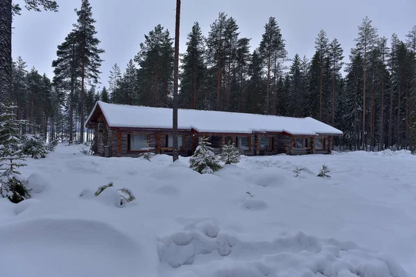 松林中的木屋 冬天的风景 — 图库照片