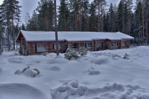 Wooden Cabin Log House Pine Forest Winter Landscape — Photo