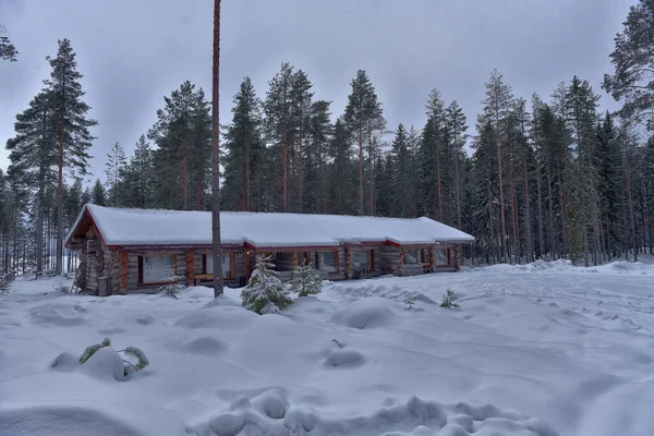 Wooden Cabin Log House Pine Forest Winter Landscape — ストック写真