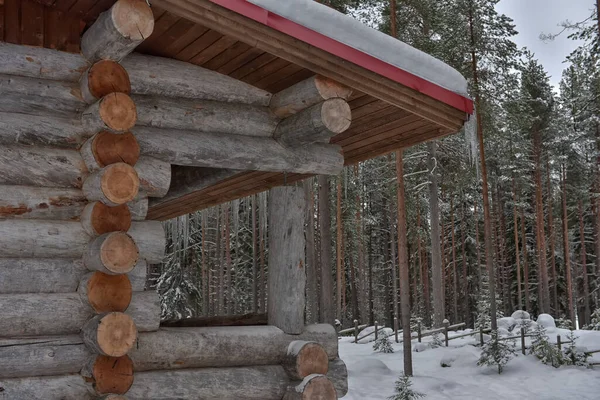 Wooden Cabin Log House Pine Forest Winter Landscape — Photo