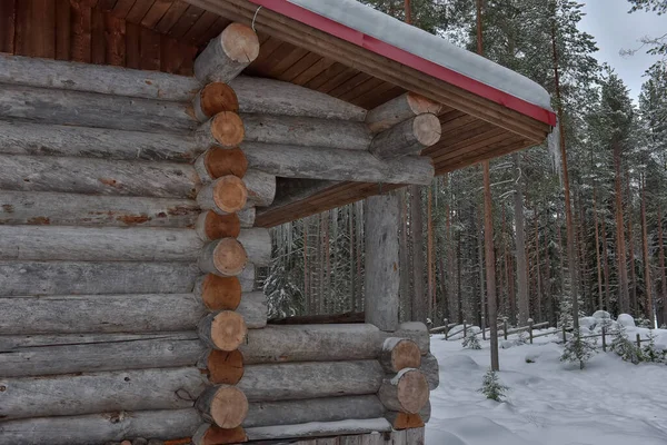 Wooden Cabin Log House Pine Forest Winter Landscape — Stock Photo, Image