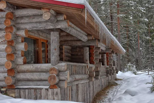 Wooden Cabin Log House Pine Forest Winter Landscape —  Fotos de Stock