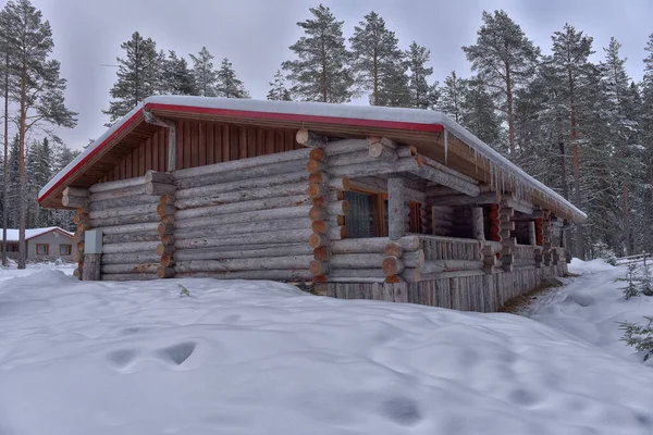 Wooden Cabin Log House Pine Forest Winter Landscape — Photo