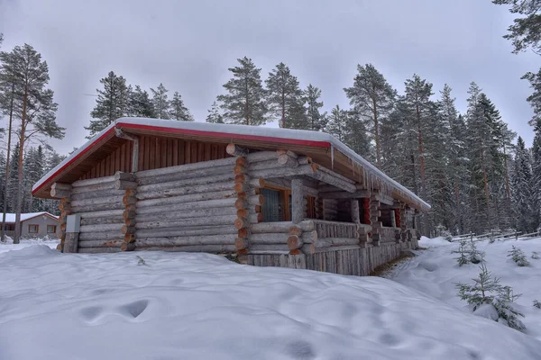 Wooden Cabin Log House Pine Forest Winter Landscape — Zdjęcie stockowe