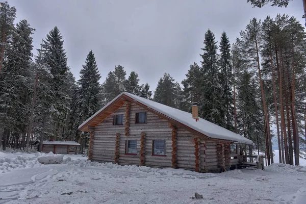Wooden Cabin Log House Pine Forest Winter Landscape — Photo