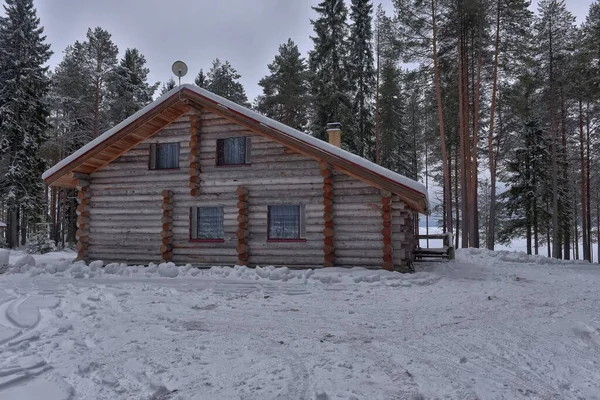 Wooden Cabin Log House Pine Forest Winter Landscape — Photo