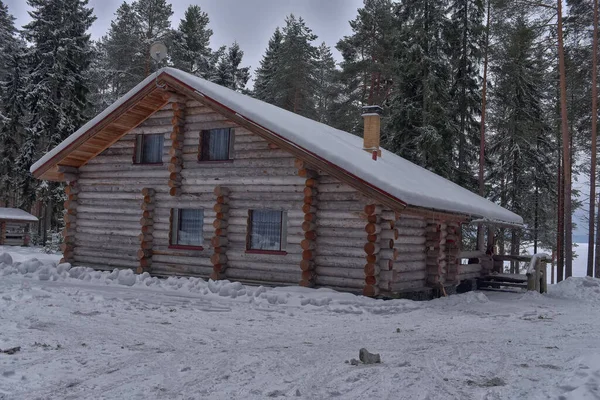 Wooden Cabin Log House Pine Forest Winter Landscape — Photo