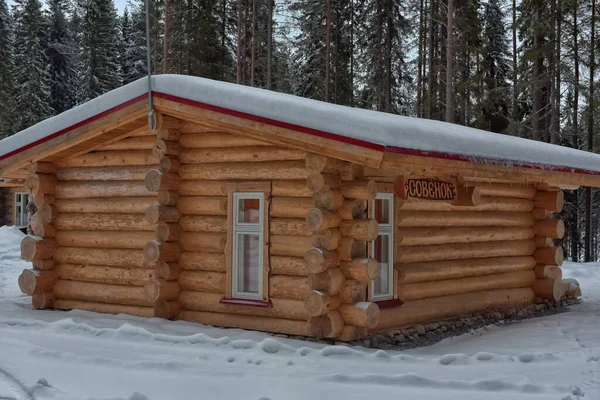 Wooden Cabin Log House Pine Forest Winter Landscape — Stockfoto