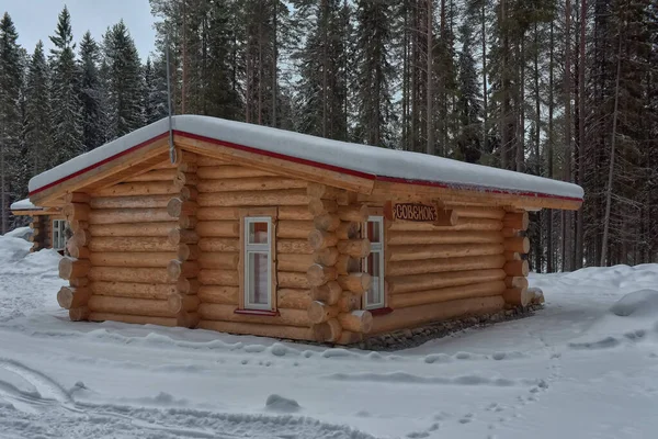 Wooden Cabin Log House Pine Forest Winter Landscape — Foto de Stock