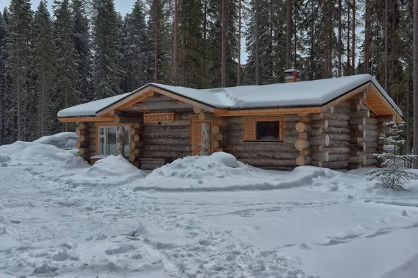 Wooden Cabin Log House Pine Forest Winter Landscape — Stock Photo, Image