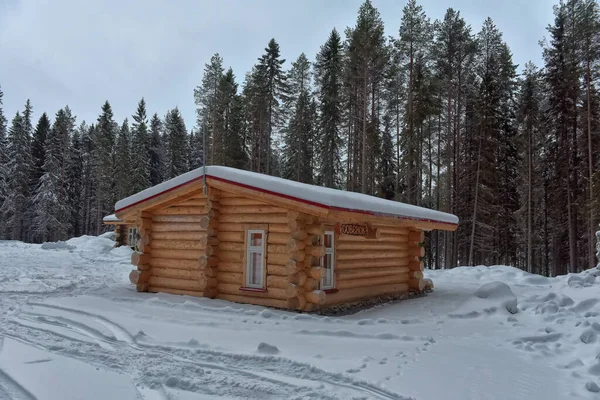 Wooden Cabin Log House Pine Forest Winter Landscape — Stock fotografie