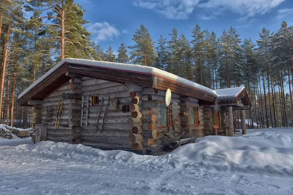 Wooden Cabin Log House Pine Forest Winter Landscape — Zdjęcie stockowe