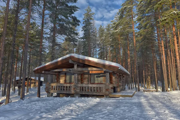 Wooden Cabin Log House Pine Forest Winter Landscape — Stock fotografie