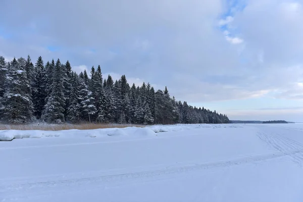 Jezioro Onega Zimą Pokryte Śniegiem Lodem — Zdjęcie stockowe