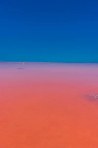 Lago Salato Con Sale Rosa Cielo Azzurro Con Nuvole Lago — Foto Stock