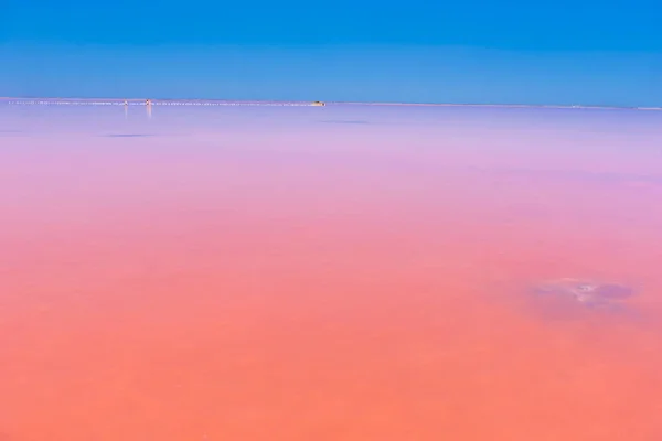 Zout Meer Met Roze Zout Blauwe Lucht Met Wolken Sasyk — Stockfoto
