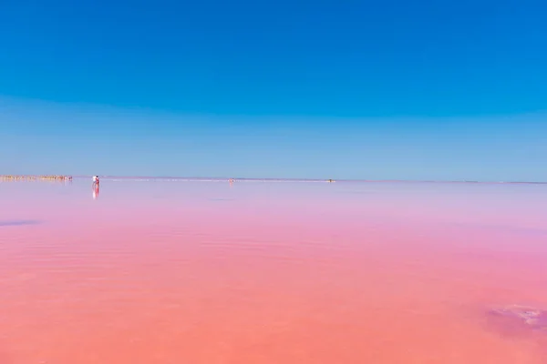 Pembe Tuzlu Tuzlu Tuz Gölü Bulutlu Mavi Gökyüzü Kırım Daki — Stok fotoğraf