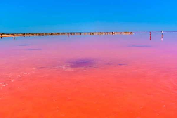 2020サシュク シバシュ湖 クリミア 泥風呂に浸かり ユニークなピンクの湖で写真を撮る — ストック写真