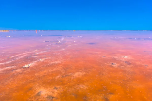 Słone Jezioro Różową Solą Błękitne Niebo Chmurami Sasyk Sivash Różowe — Zdjęcie stockowe