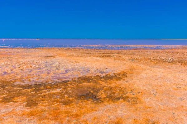 Pembe Tuzlu Tuzlu Tuz Gölü Bulutlu Mavi Gökyüzü Kırım Daki — Stok fotoğraf