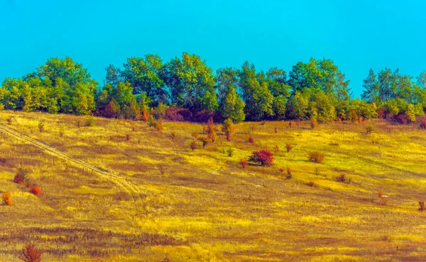 Herfstlandschap Gele Velden Met Bomen Blauwe Lucht — Stockfoto