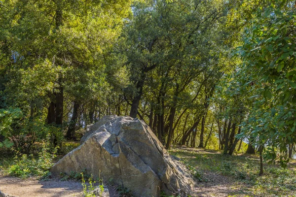 Sommaren Saftig Skott Med Utsikt Över Otroligt Vacker Park Vorontsov — Stockfoto