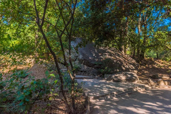 Sommer Saftige Schuss Mit Blick Auf Unglaublich Schönen Park Woronzow — Stockfoto