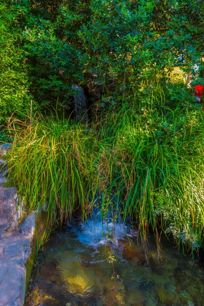 Mesterséges Vízesés Vorontsov Park Város Jalta Krím Félszigeten — Stock Fotó