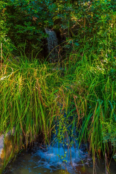 Cachoeira Artificial Parque Vorontsov Cidade Yalta Península Crimeia — Fotografia de Stock