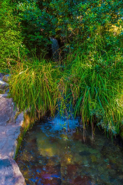 Cascada Artificial Parque Vorontsov Ciudad Yalta Península Crimea —  Fotos de Stock