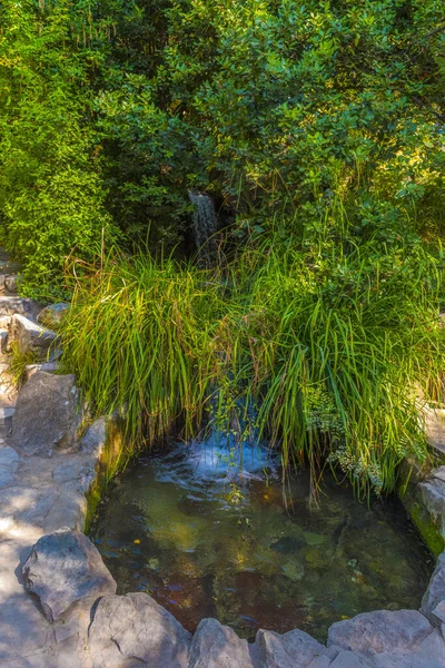 Cascade Artificielle Dans Parc Vorontsov Ville Yalta Sur Péninsule Crimée — Photo