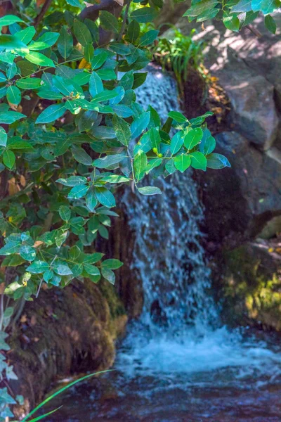 Künstlicher Wasserfall Woronzow Park Der Stadt Jalta Auf Der Halbinsel — Stockfoto